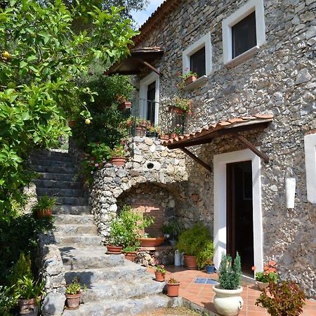 Agrestis Domus Guest House San Giovanni a Piro Exterior photo