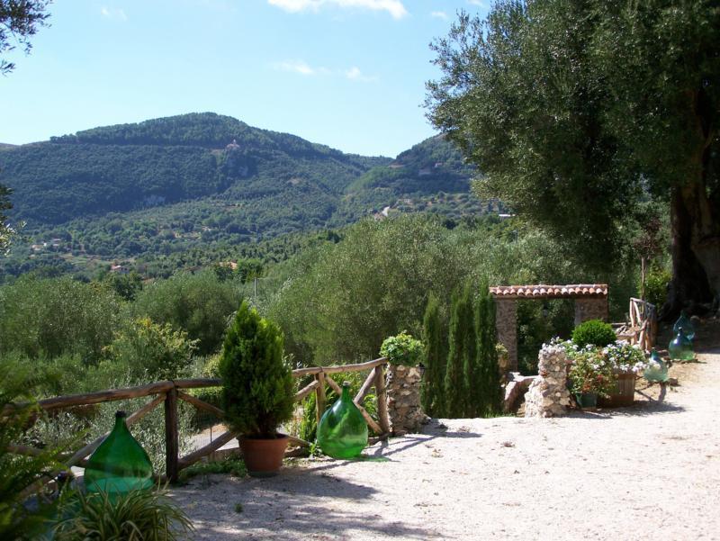 Agrestis Domus Guest House San Giovanni a Piro Exterior photo