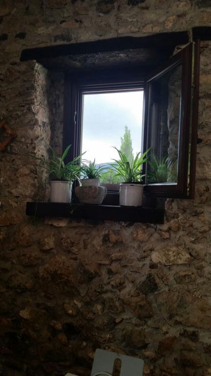 Agrestis Domus Guest House San Giovanni a Piro Exterior photo
