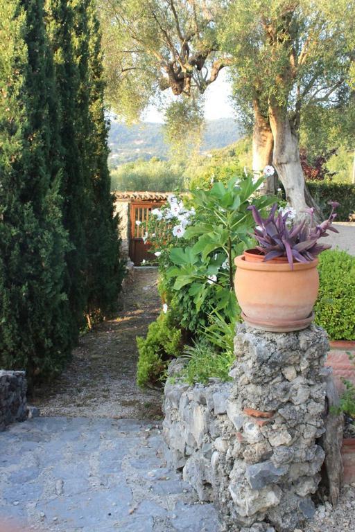 Agrestis Domus Guest House San Giovanni a Piro Exterior photo