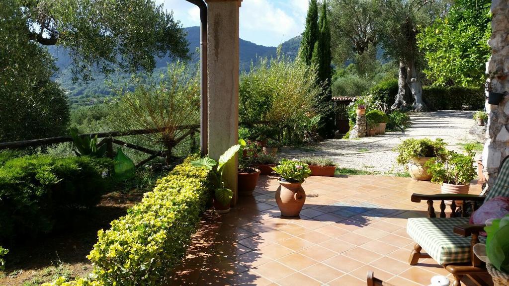 Agrestis Domus Guest House San Giovanni a Piro Exterior photo