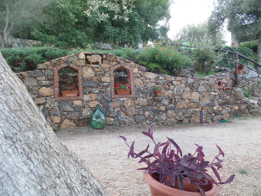 Agrestis Domus Guest House San Giovanni a Piro Exterior photo
